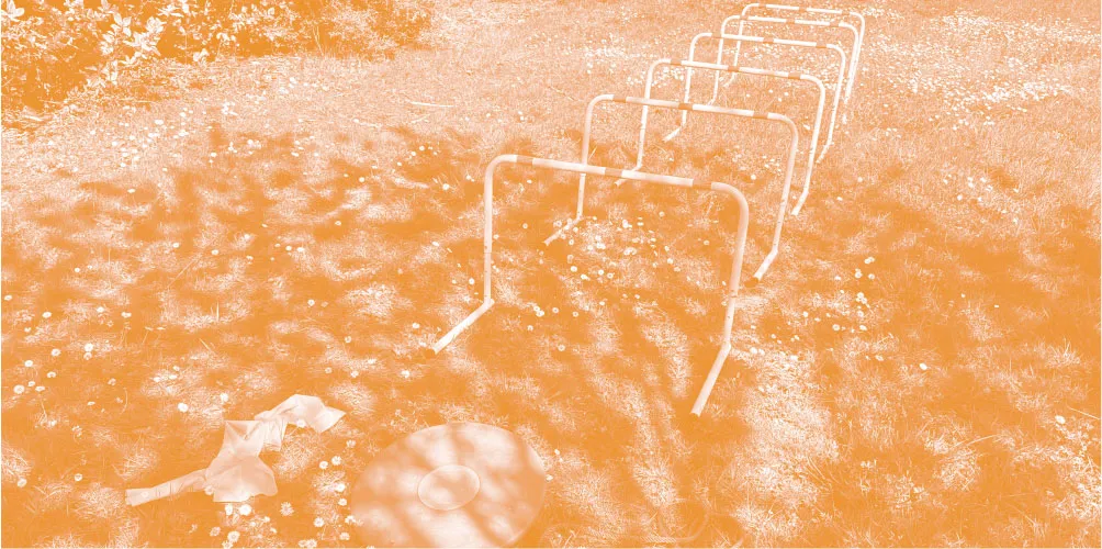 Photo accueil Miles Performance, Site de Sandra Lévénez